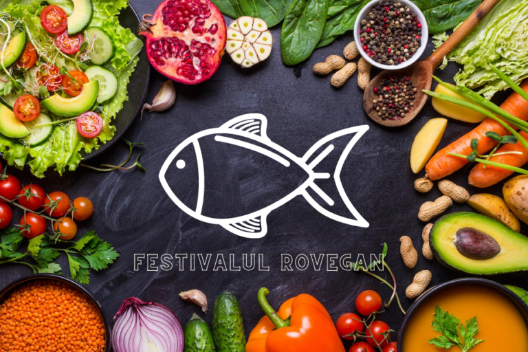 rovegan festival