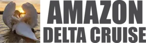 logo-1-300x90