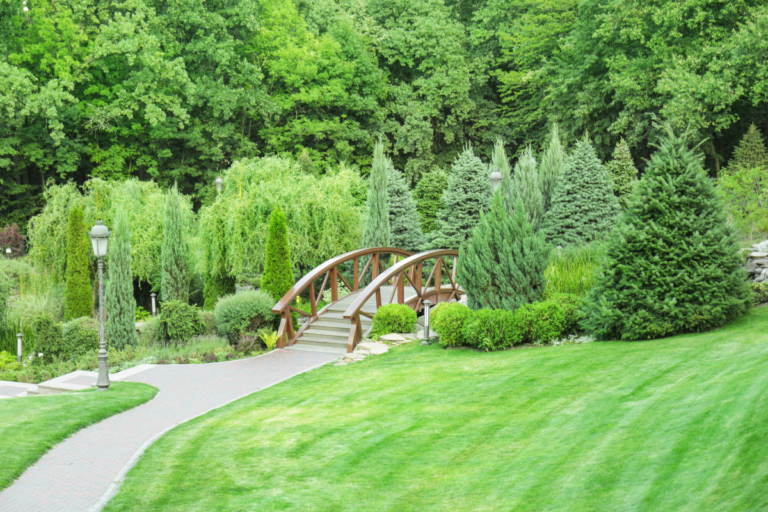 Untitled design - 2026-03-25T144459.768