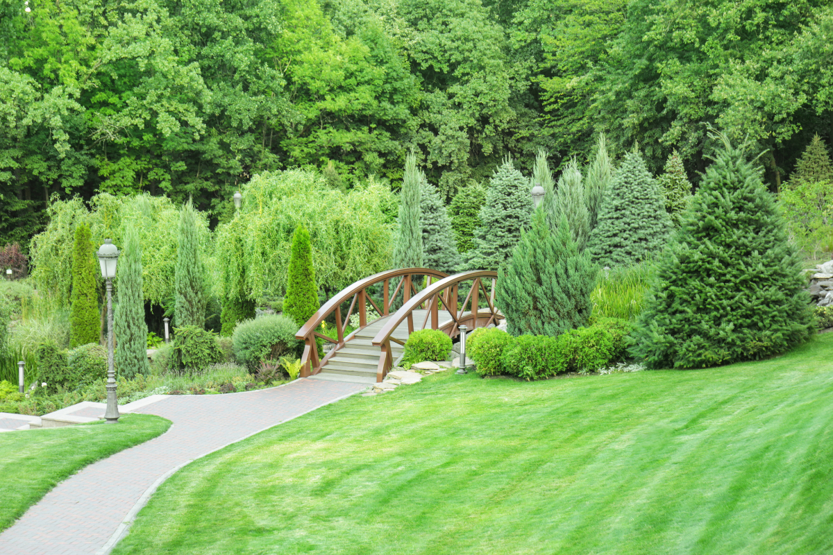 Untitled design - 2026-03-25T144459.768